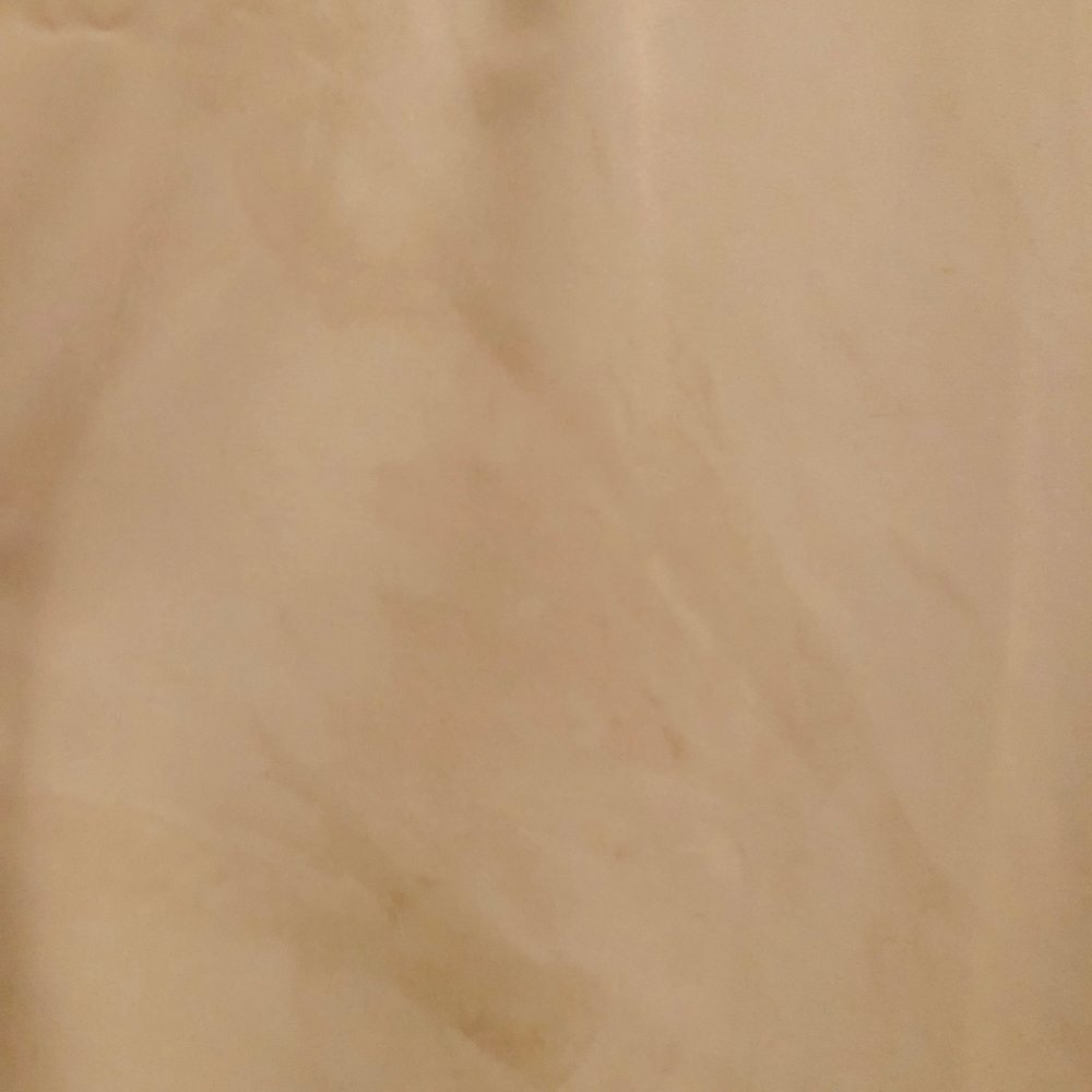 Beaded/Embroidered Collared Button Down - Picture 6 of 7